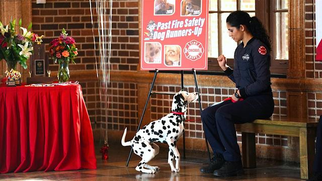 Chicago en llamas 7x11